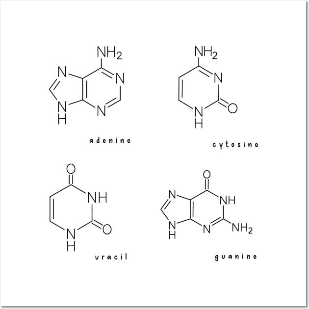 Hand Drawn RNA Ribonucleic Acid Pack Wall Art by Sofia Sava